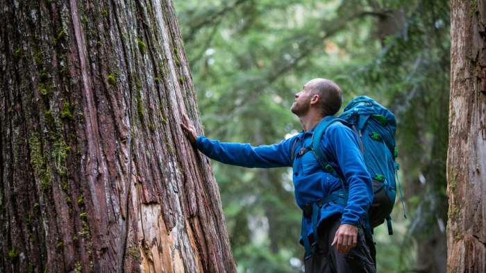 Conscious responsible develop travelife ibercaja environment