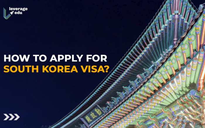 Korea visa south requirements apply application luck enjoy good